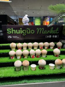 Shuiguo HotSpring 2